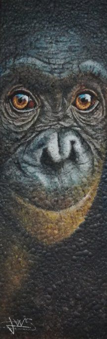 JE SUIS AMOUREUX DE MON MIROIR